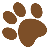 Dog Footprint